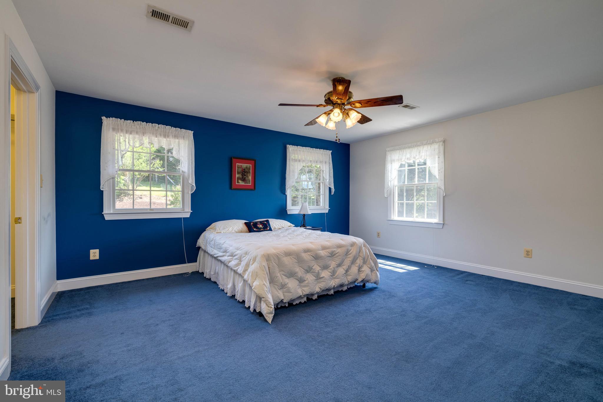 360 Lazy River East Road Luray, VA 22835 - Photo 51 of 145