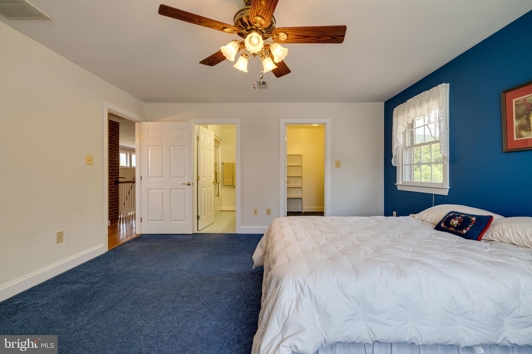 360 Lazy River East Road Luray, VA 22835 - Photo 52 of 145