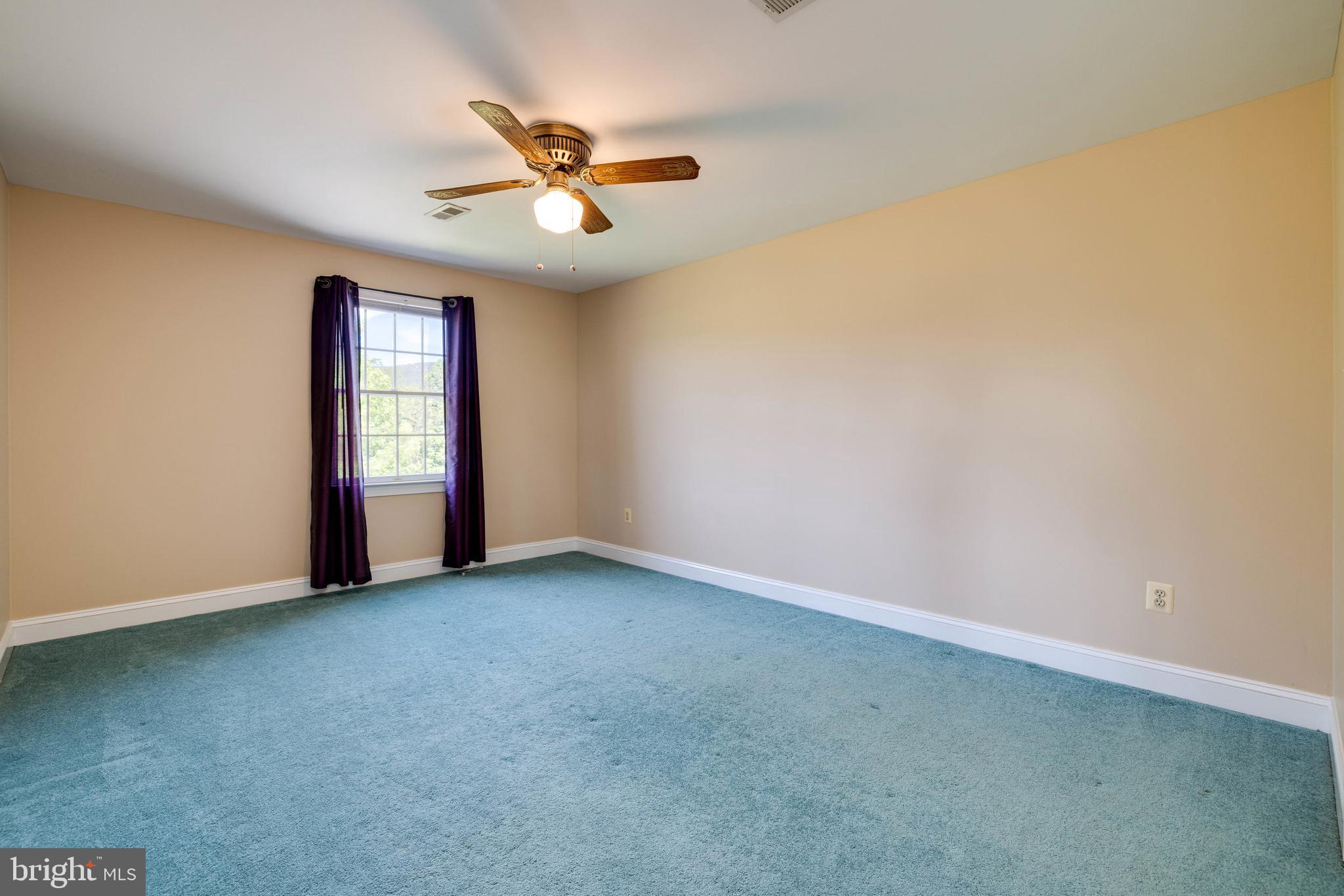 360 Lazy River East Road Luray, VA 22835 - Photo 61 of 145