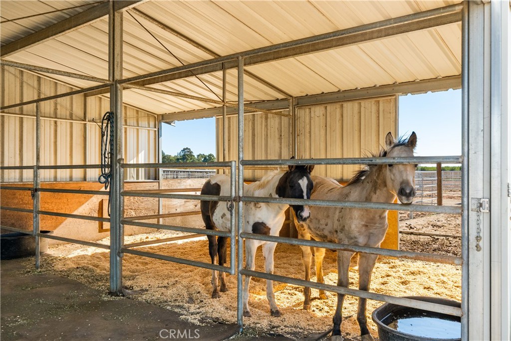 24245 River Corning Ca Corning, CA 96021 - Photo 22 of 30