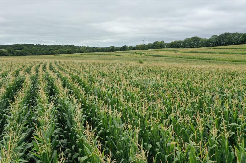 140th Street Road Westboro, MO 64498 - Photo 11 of 14