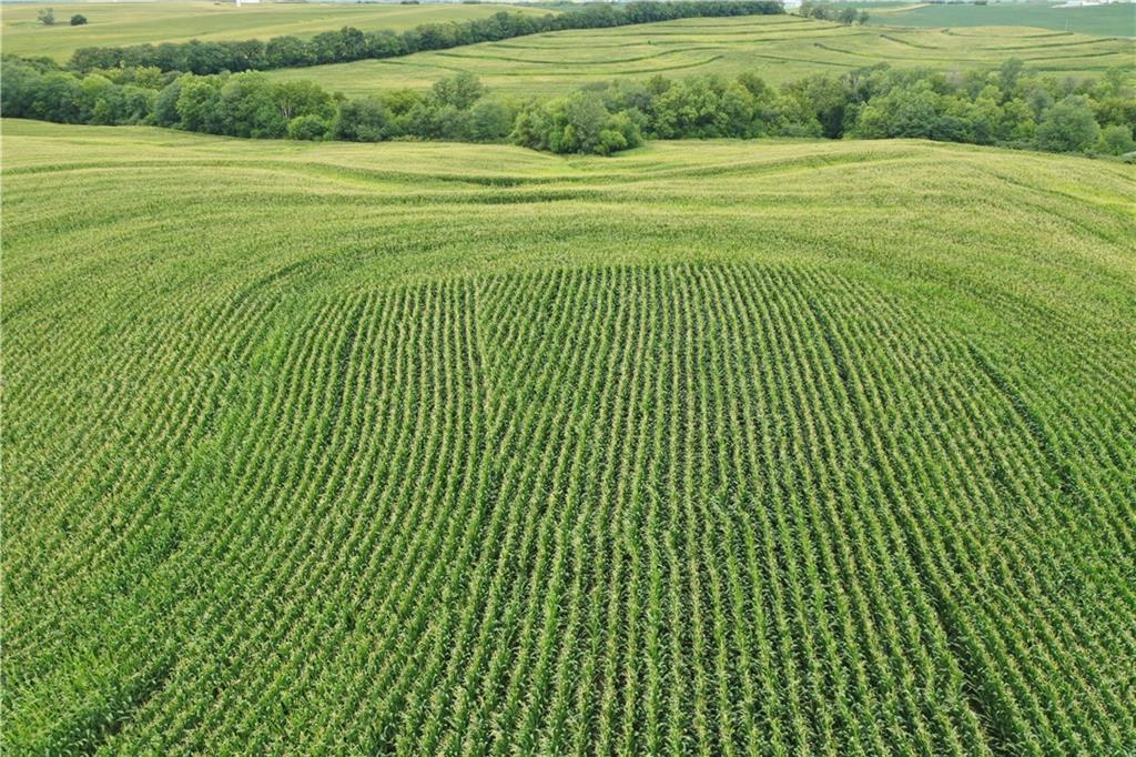 140th Street Road Westboro, MO 64498 - Photo 7 of 14