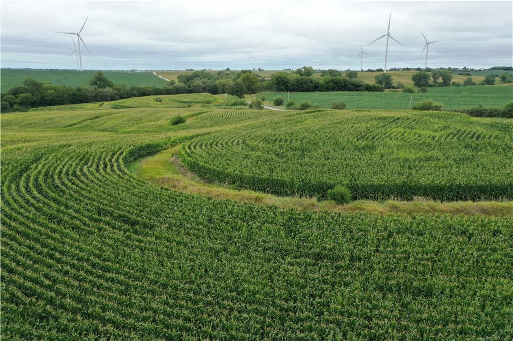 140th Street Road Westboro, MO 64498 - Photo 8 of 14