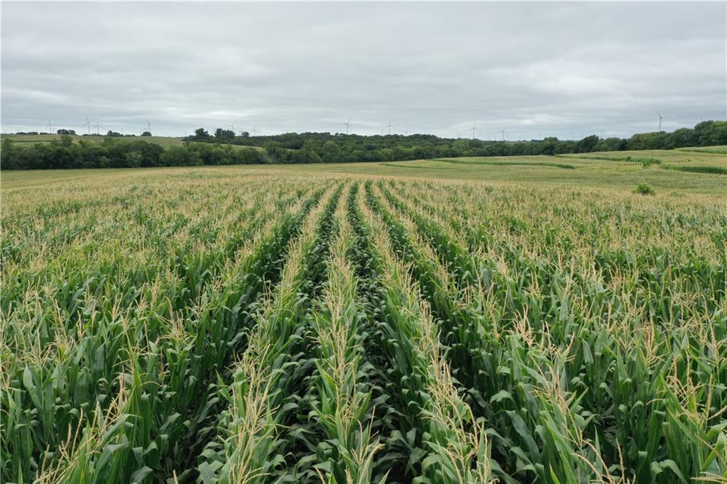 140th Street Road Westboro, MO 64498 - Photo 10 of 14