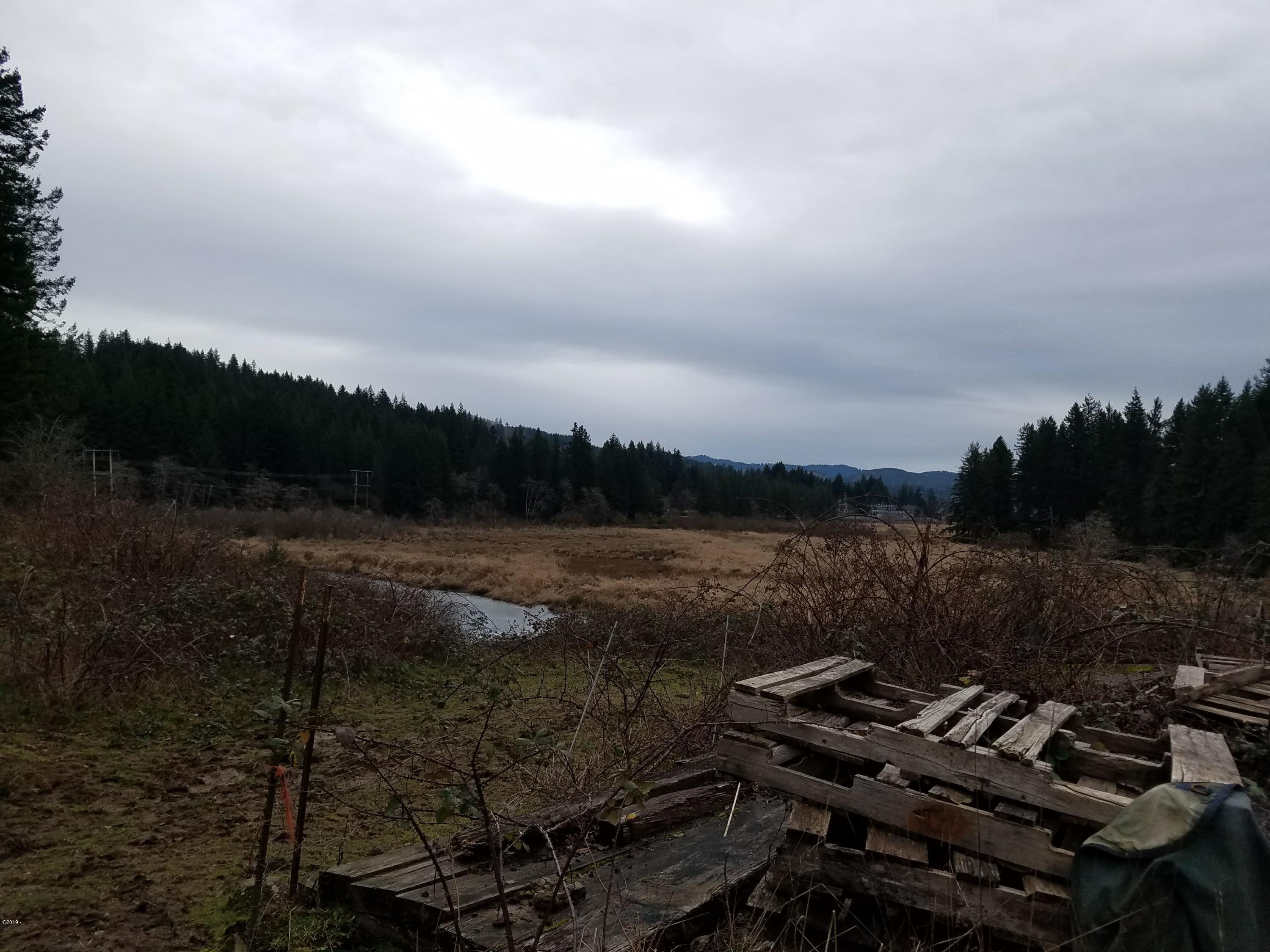 800 Northeast Ridge Drive Toledo, OR 97391 - Photo 19 of 19 Valley View