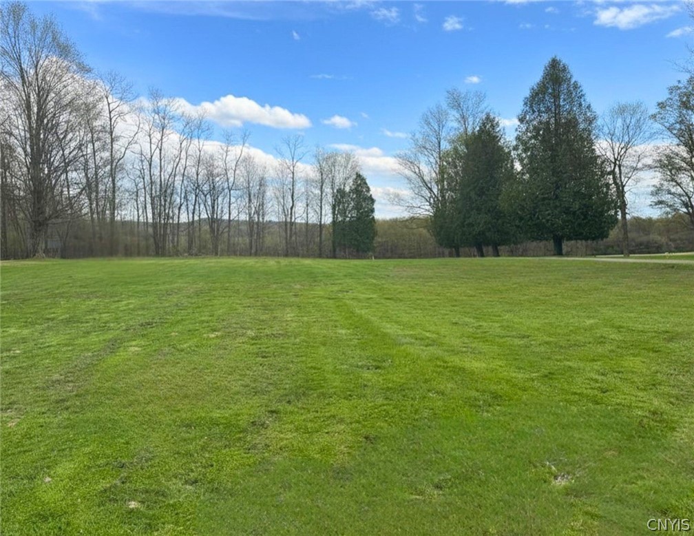 0 Ballina Road Cazenovia, NY 13035 - Photo 1 of 16