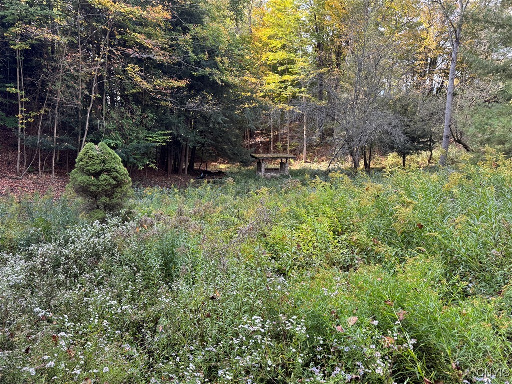 0 Ballina Road Cazenovia, NY 13035 - Photo 11 of 16