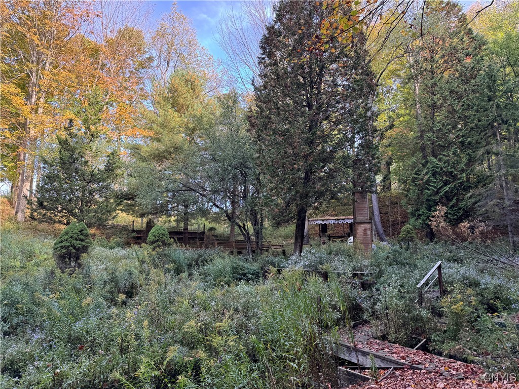 0 Ballina Road Cazenovia, NY 13035 - Photo 15 of 16