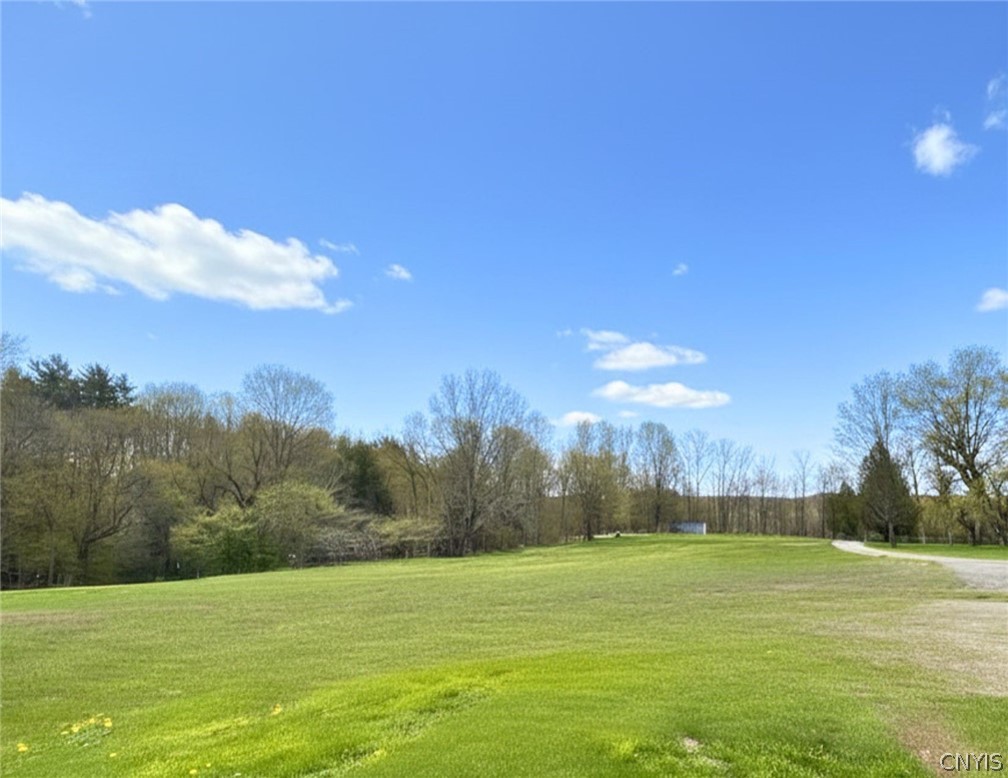 0 Ballina Road Cazenovia, NY 13035 - Photo 4 of 16
