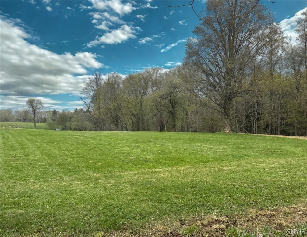 0 Ballina Road Cazenovia, NY 13035 - Photo 5 of 16