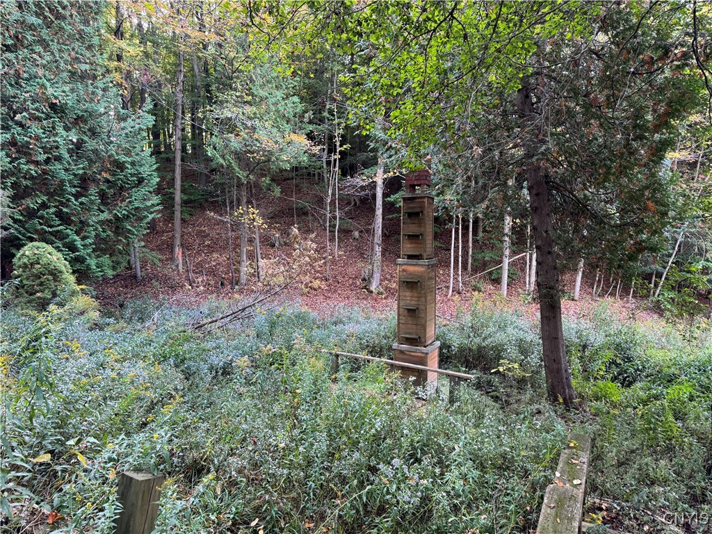 0 Ballina Road Cazenovia, NY 13035 - Photo 9 of 12