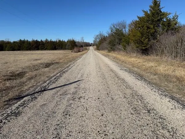 a view of a dry yard with trees in the background