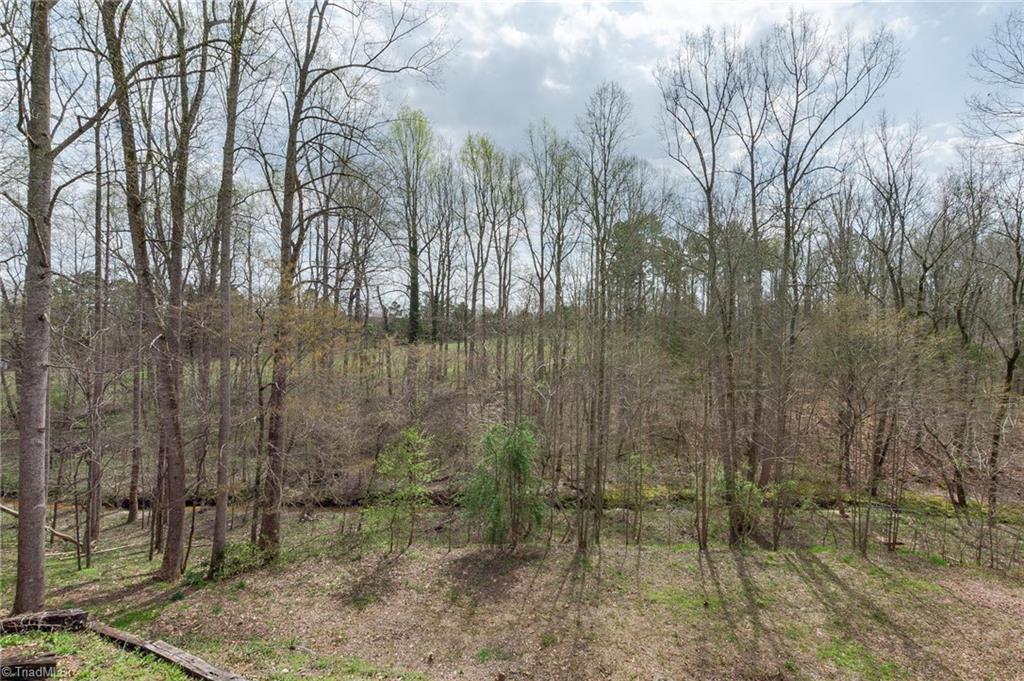 3746 Fieldview Road Pleasant Garden, NC 27313 - Photo 36 of 38 Gallery Image 36
