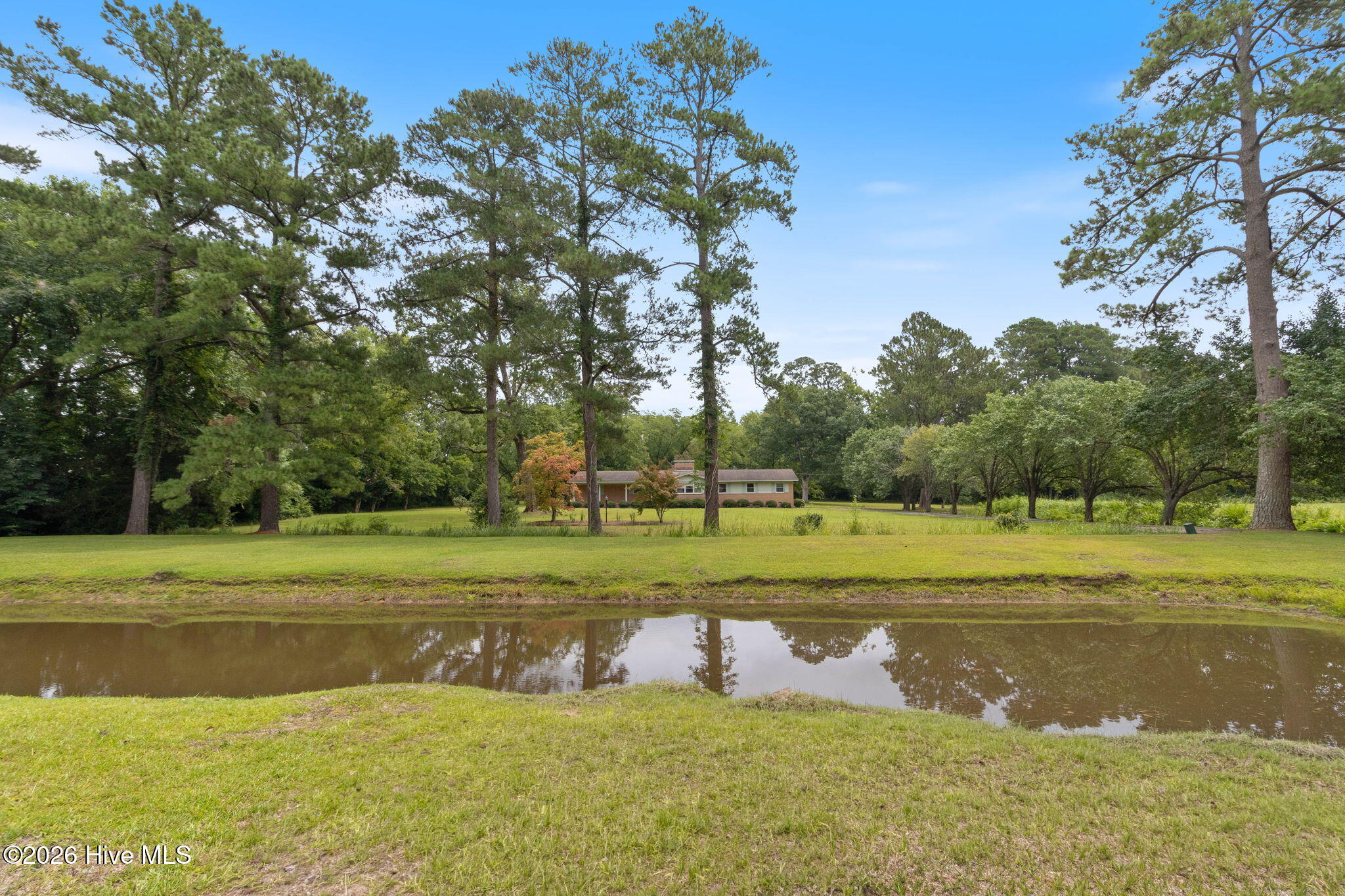 312 North Mitchell Ford Road Clarkton, NC 28433 - Photo 43 of 46