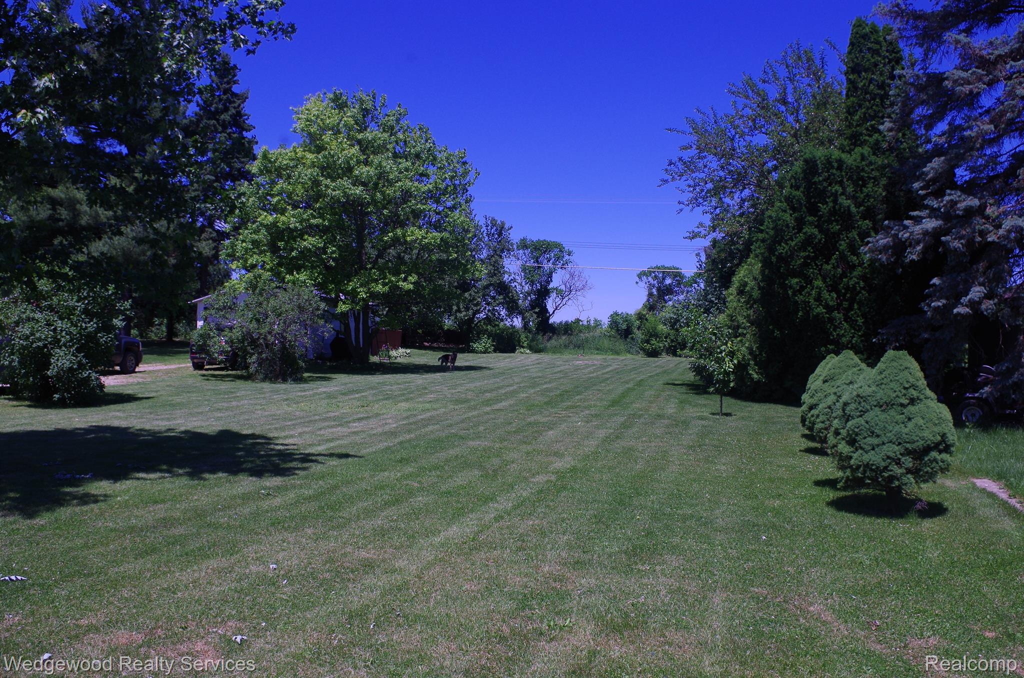 2107 Bowers Road Lapeer, MI 48446 - Photo 9 of 26 Side yard