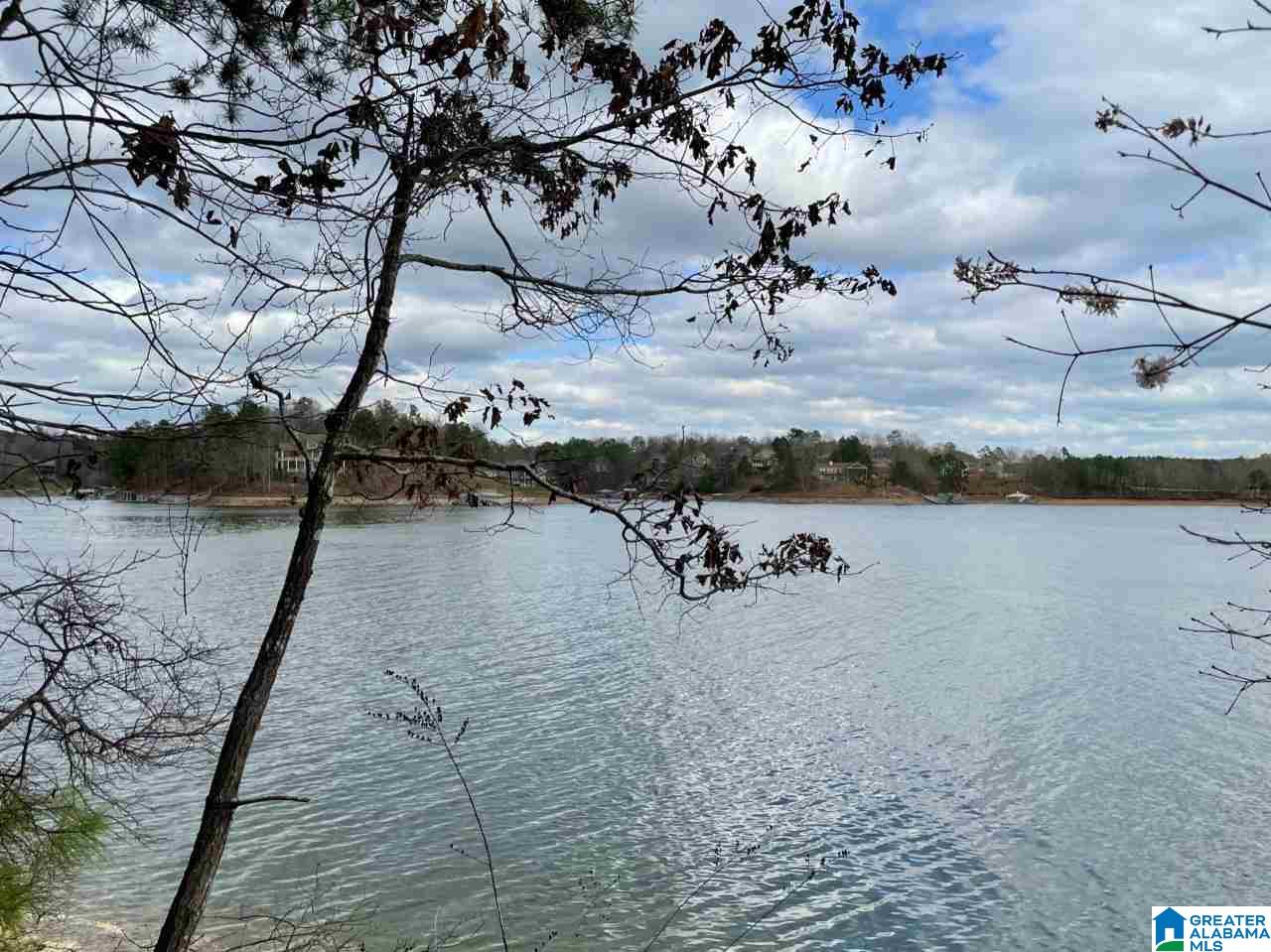 897 County Road, Unit 6 Wedowee, AL 36278 - Photo 3 of 6