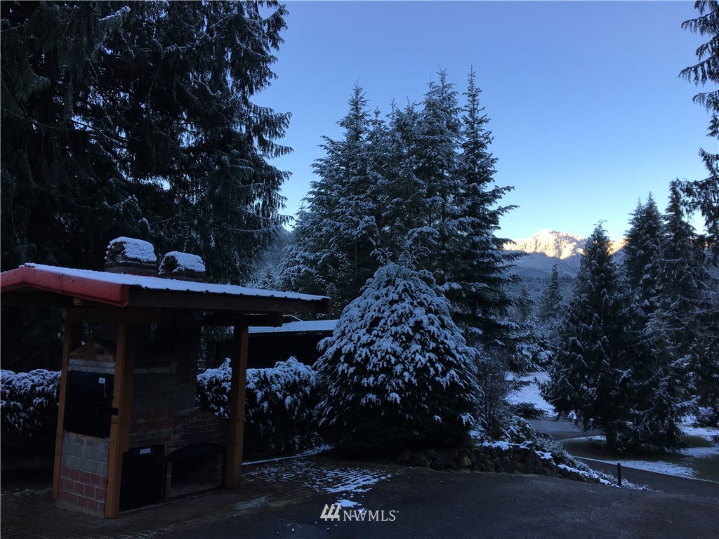 15008 Alpine Road Glacier, WA 98244 - Photo 3 of 24 Gallery Image 3