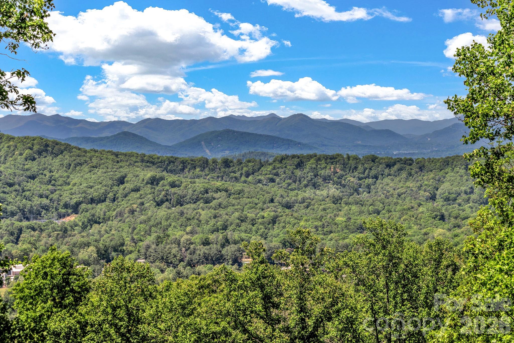 125 Winding Ridge Road Asheville, NC 28803 - Photo 20 of 48 a view of a street with a yard