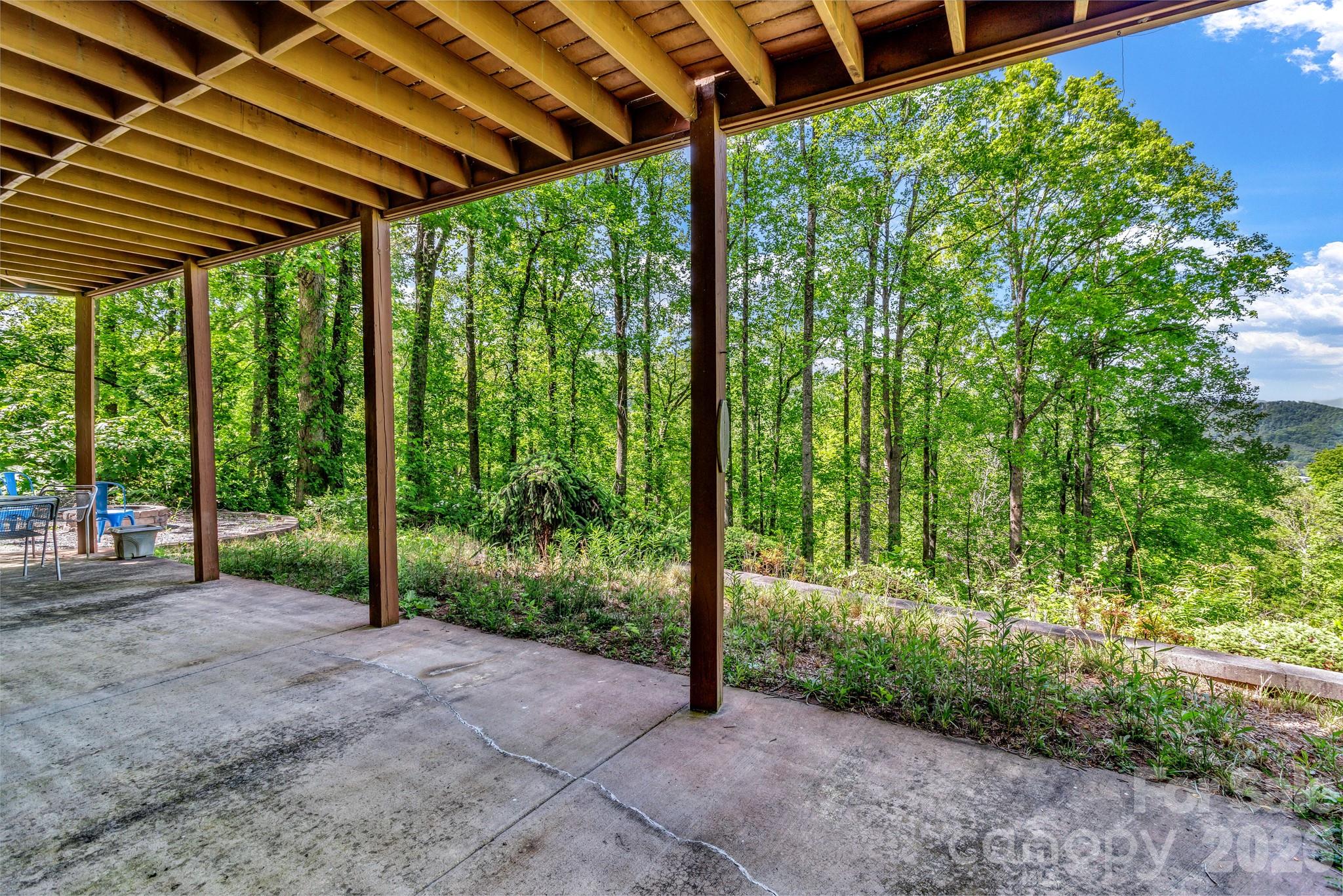 125 Winding Ridge Road Asheville, NC 28803 - Photo 40 of 48 a view of a backyard with large trees