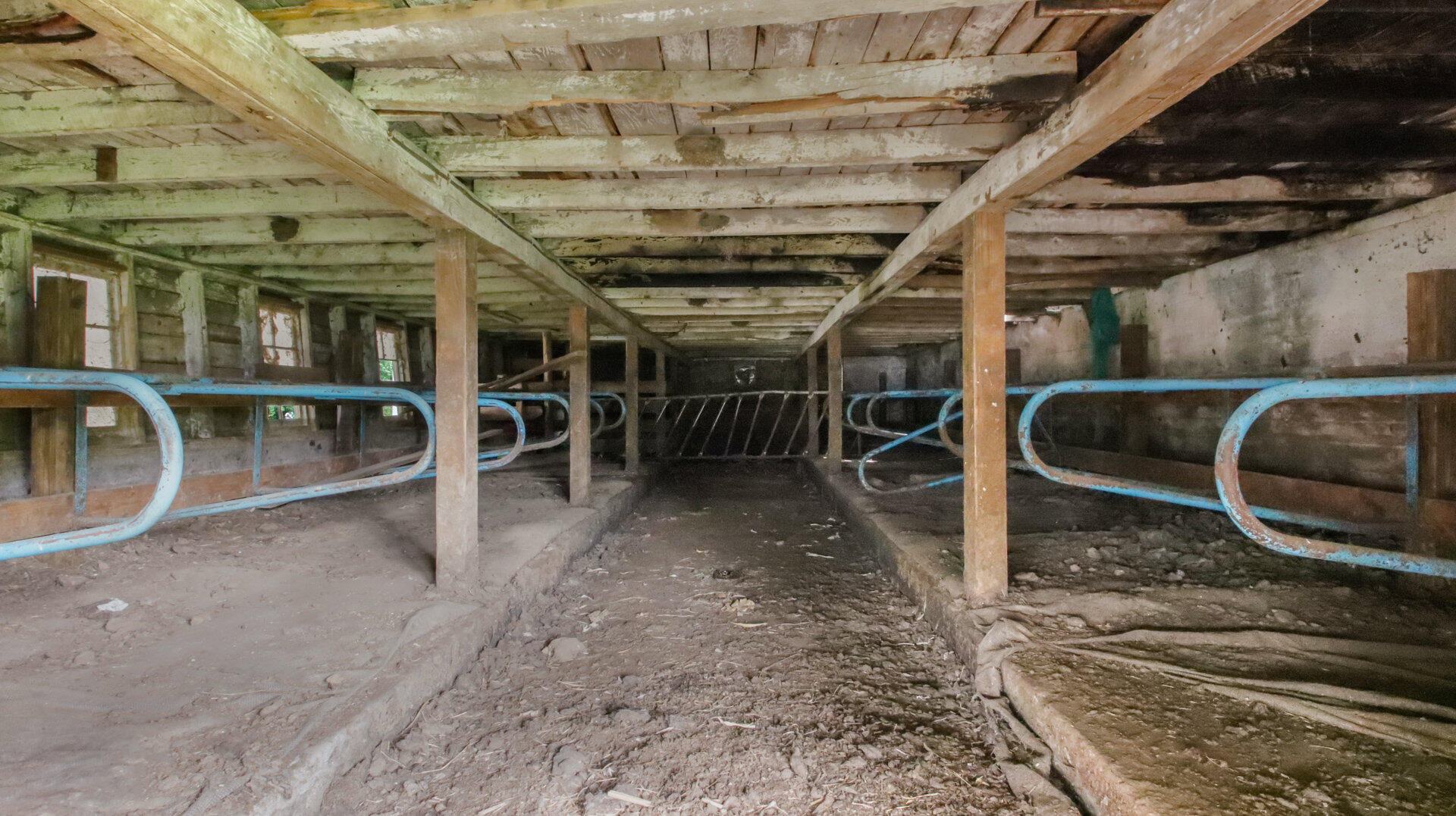 N3684 Claire Road Franklin, WI 54642 - Photo 32 of 51 062_img_4151_486