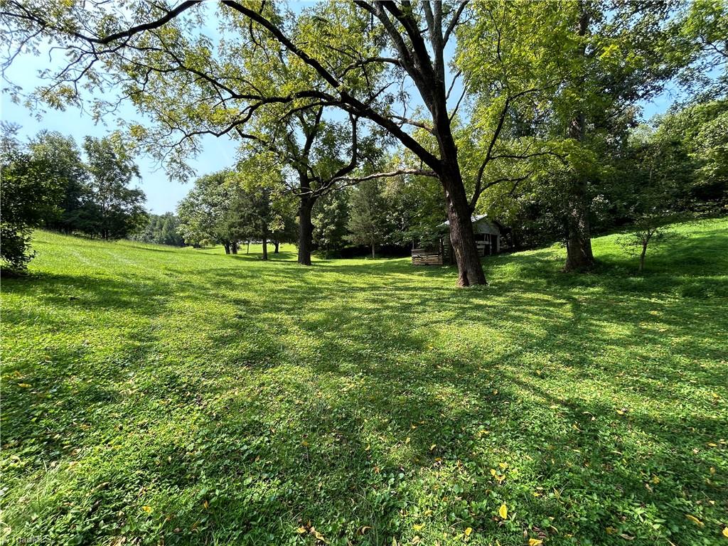 8010 Homestead Farm Road Belews Creek, NC 27009 - Photo 1 of 1 Gallery Image 1