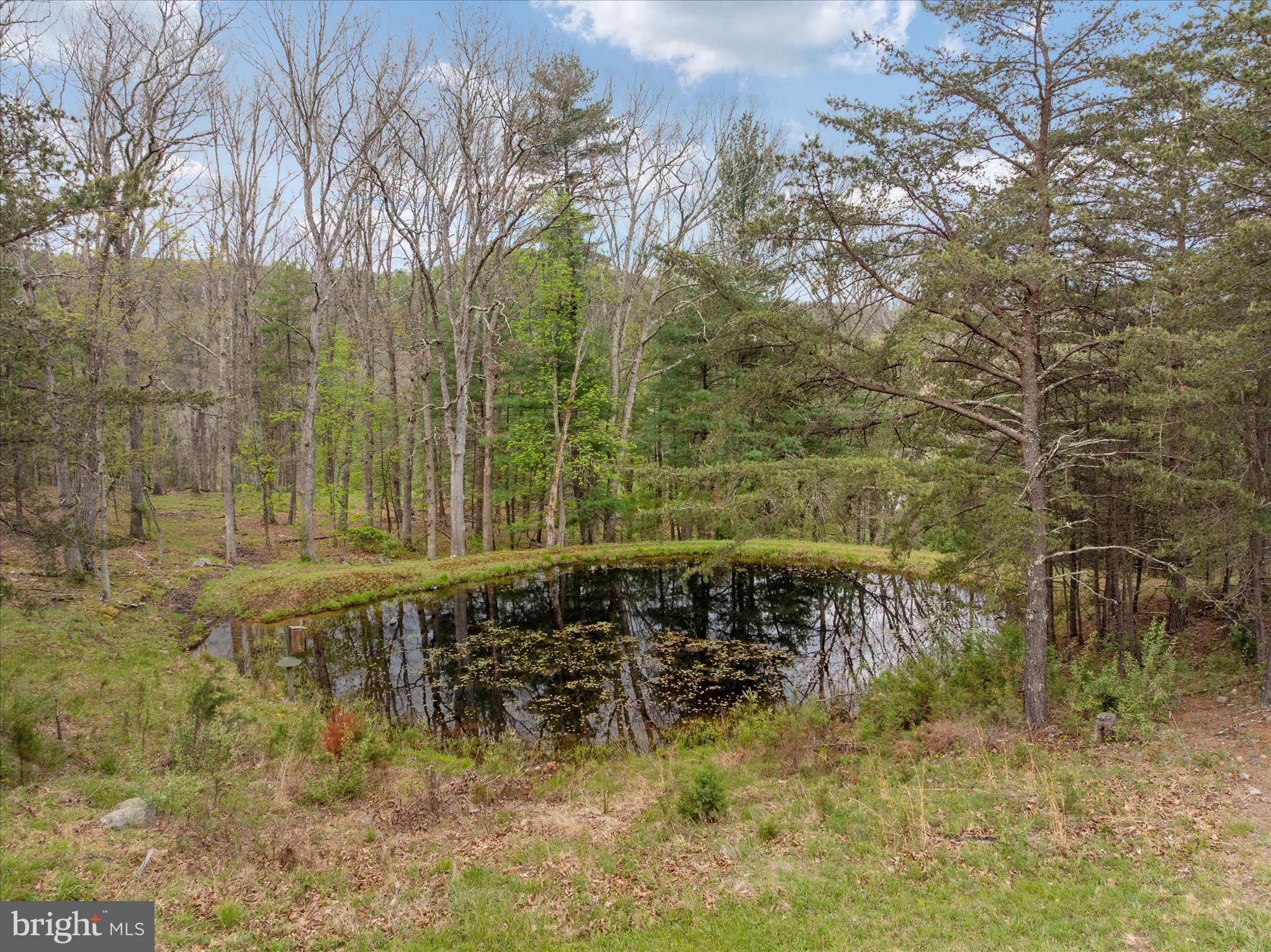 272 Buster Brown Drive Rio, WV 26755 - Photo 109 of 113 Pond on the property