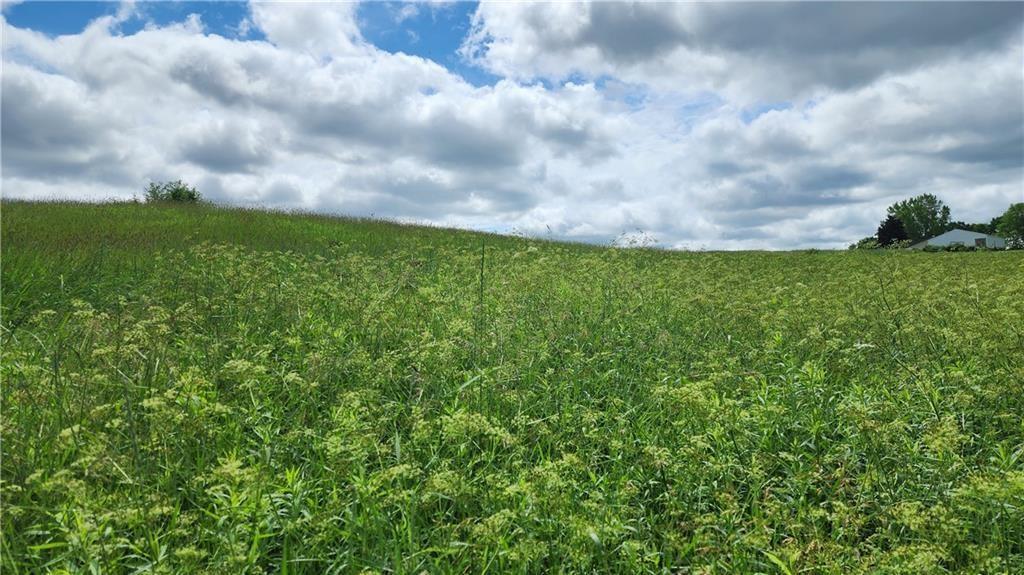 Lot 10 270th Street Ridgeland, WI 54763 - Photo 1 of 1 Gallery Image 1