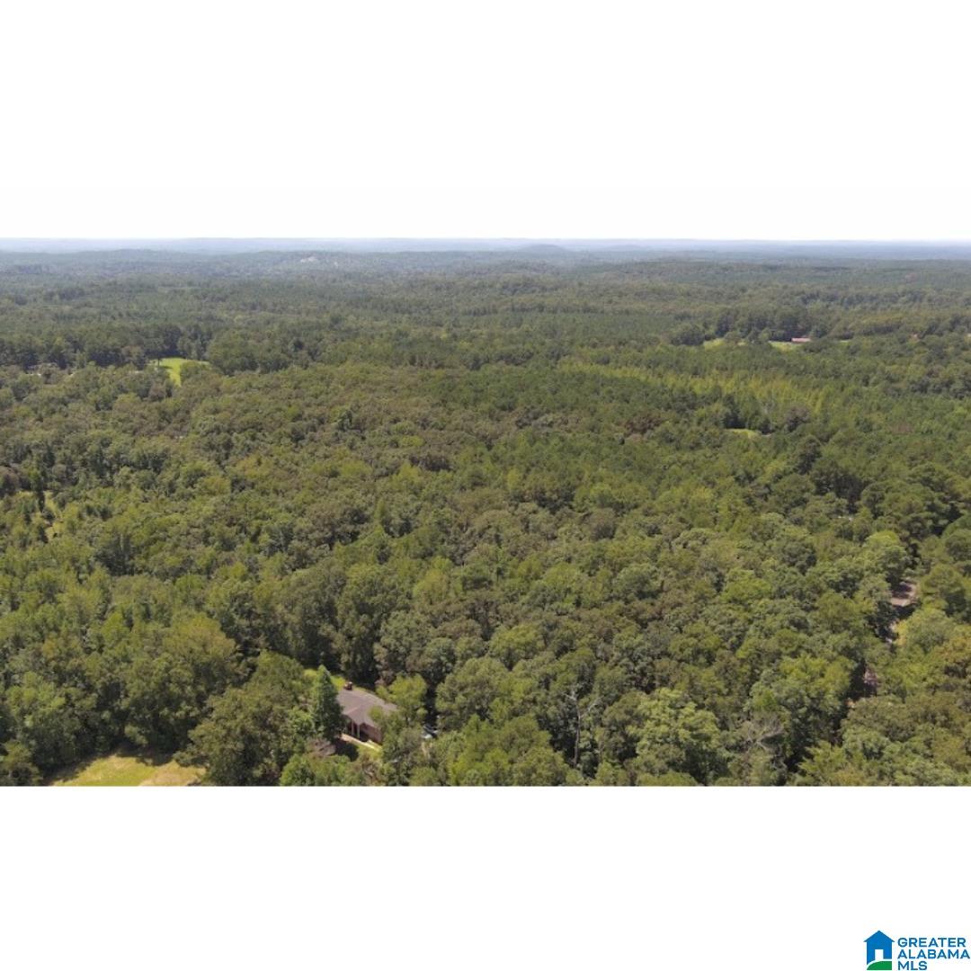 4027 Dean Road, Unit 4027 Pinson, AL 35126 - Photo 7 of 13