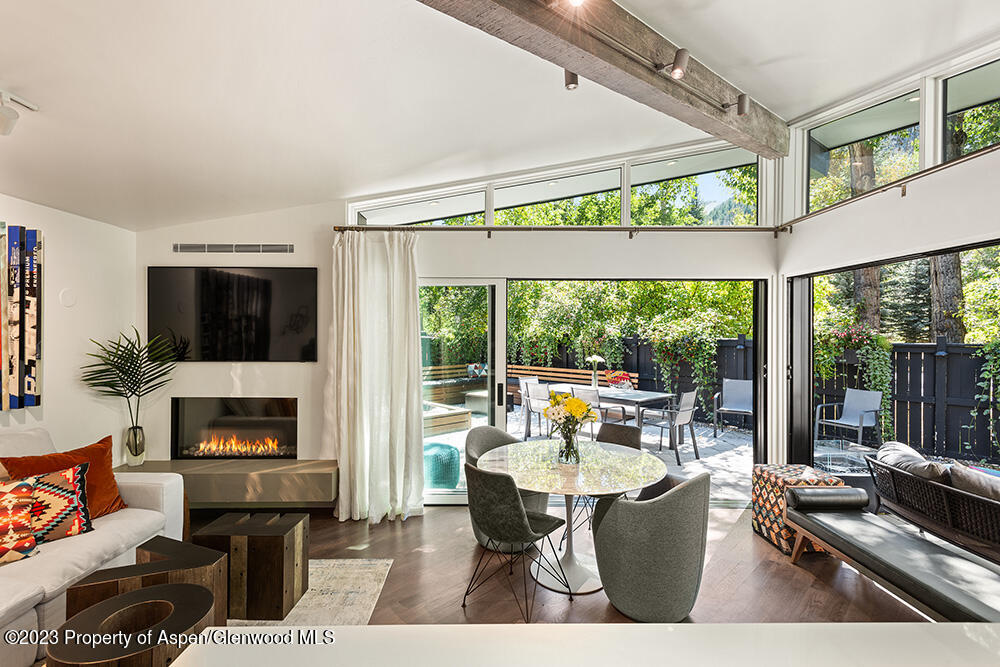 630 West Hallam Street, Unit 1 Aspen, CO 81611 - Photo 1 of 19 Brilliant Contemporary Home