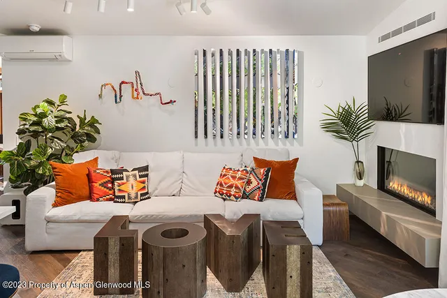 $30,000 | 630 West Hallam Street, Unit 1, Aspen, CO 81611