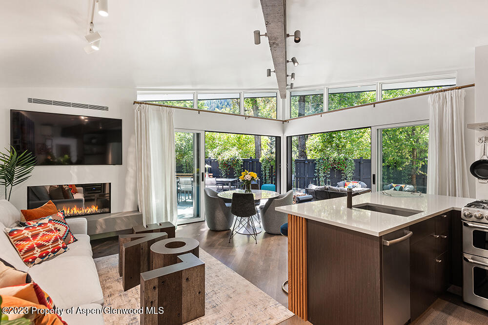 630 West Hallam Street, Unit 1 Aspen, CO 81611 - Photo 6 of 19 Views & Light