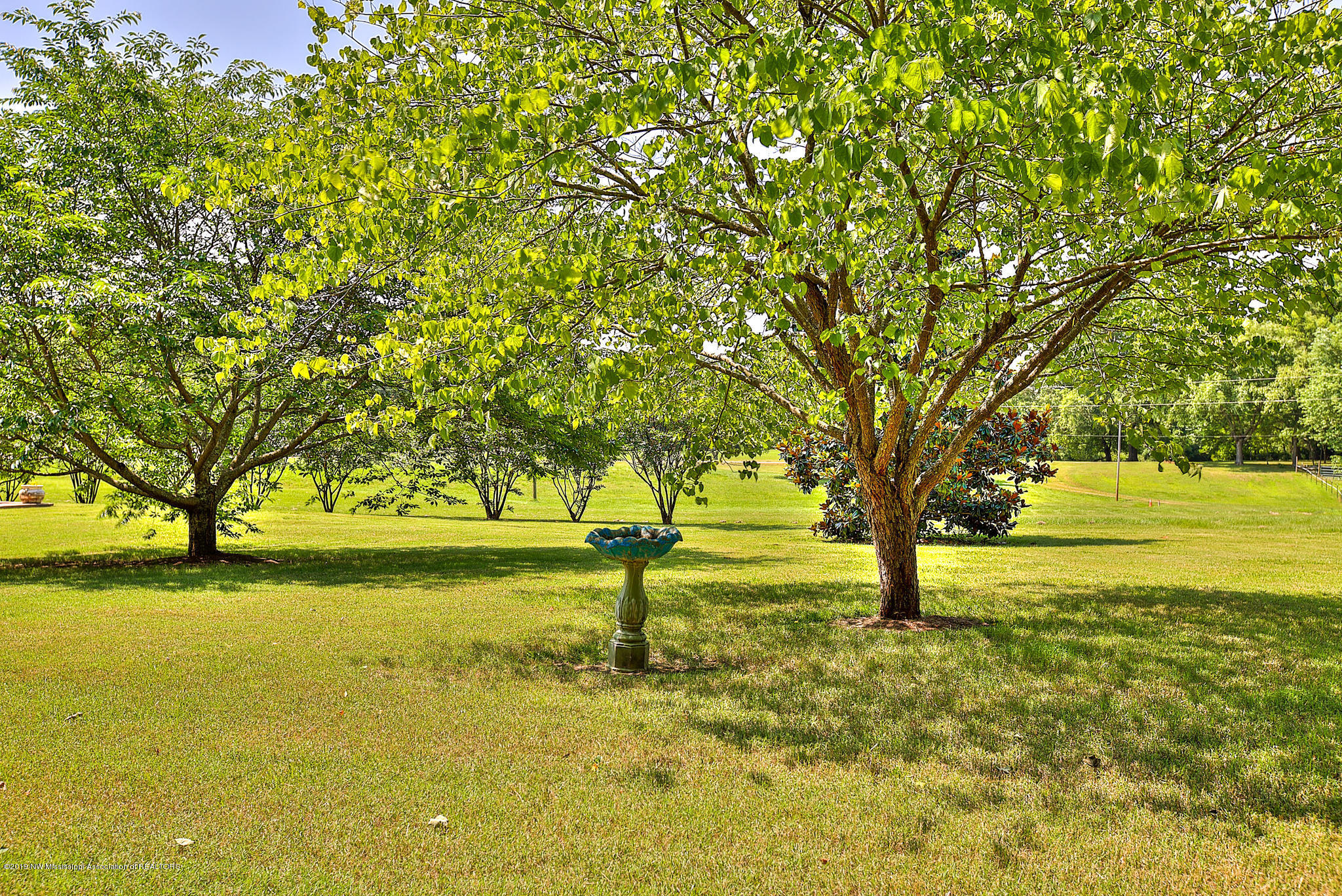 1957 Mt Pleasant Road Hernando, MS 38632 - Photo 22 of 63 24