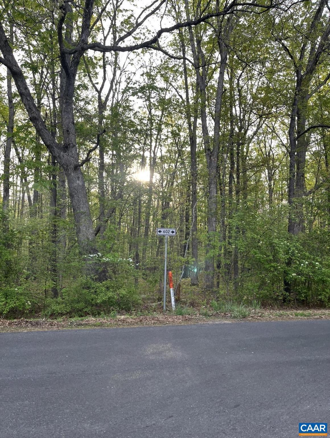 Black Walnut Run Road Rhoadesville, VA 22542 - Photo 2 of 4