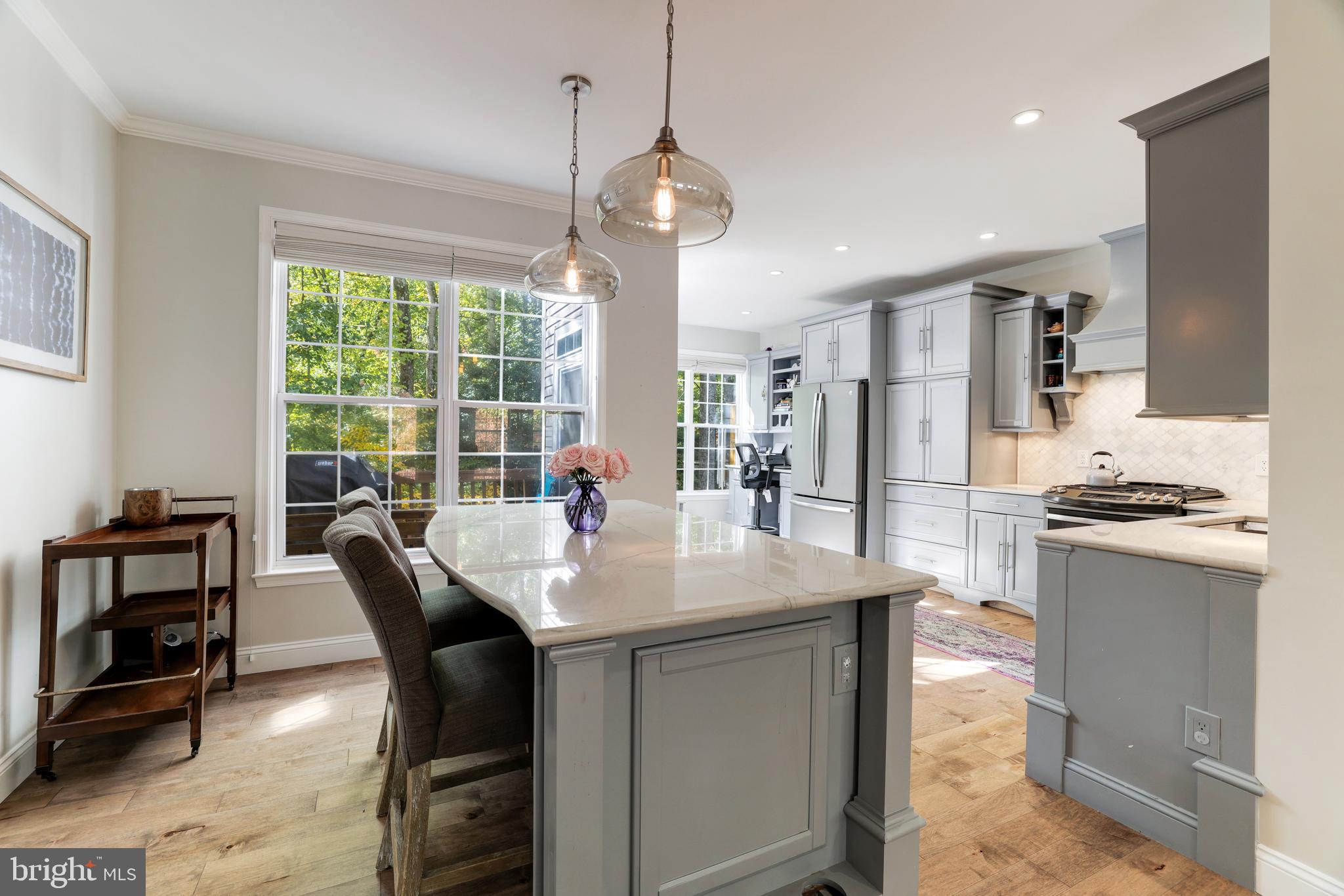 1232 Wild Hawthorn Way Reston, VA 20194 - Photo 2 of 43 Gallery Image 2