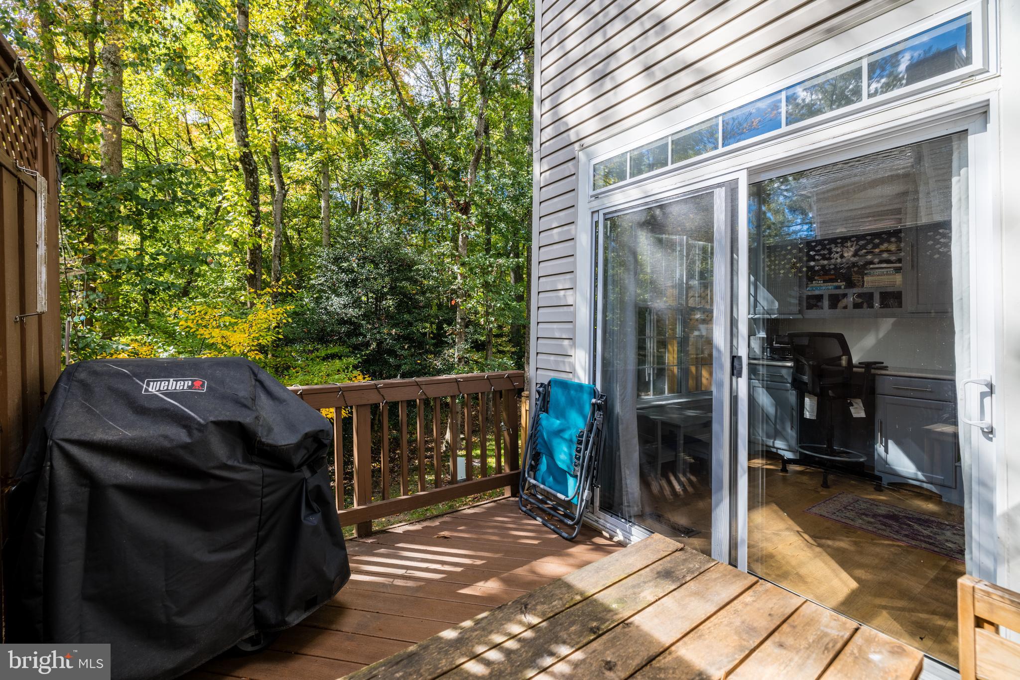 1232 Wild Hawthorn Way Reston, VA 20194 - Photo 38 of 43 Gallery Image 38