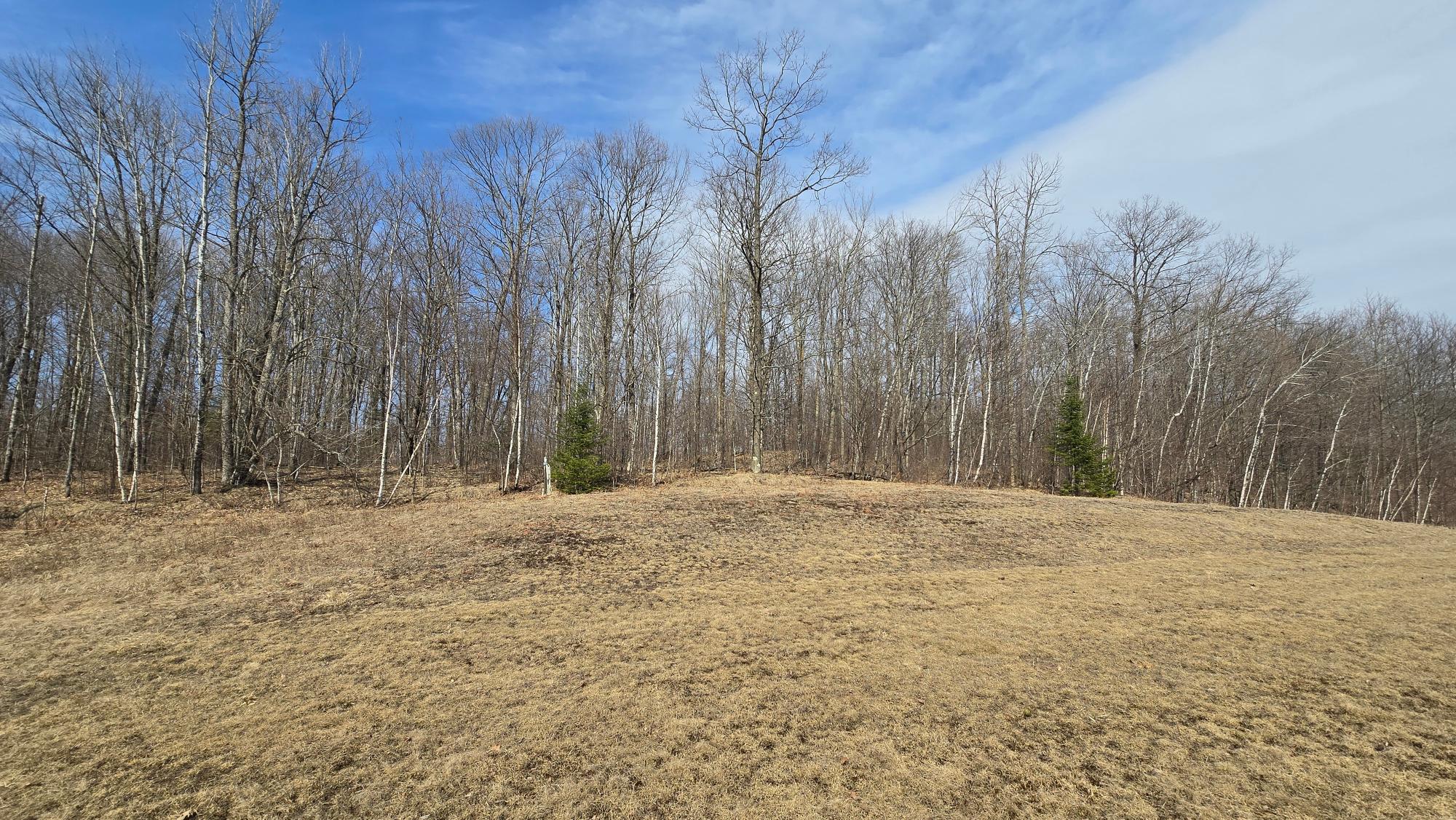 W6280 Sherry Road Bryant, WI 54418 - Photo 42 of 73 Gallery Image 42