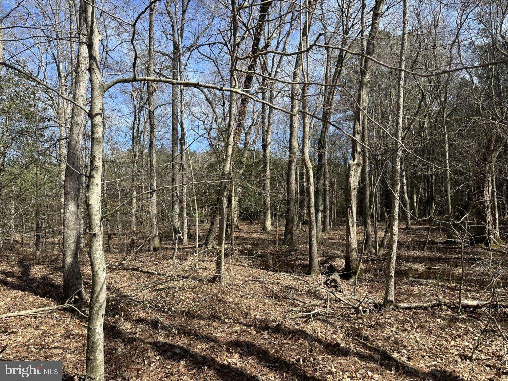 0 Peggy Neck Road Princess Anne, MD 21853 - Photo 14 of 14