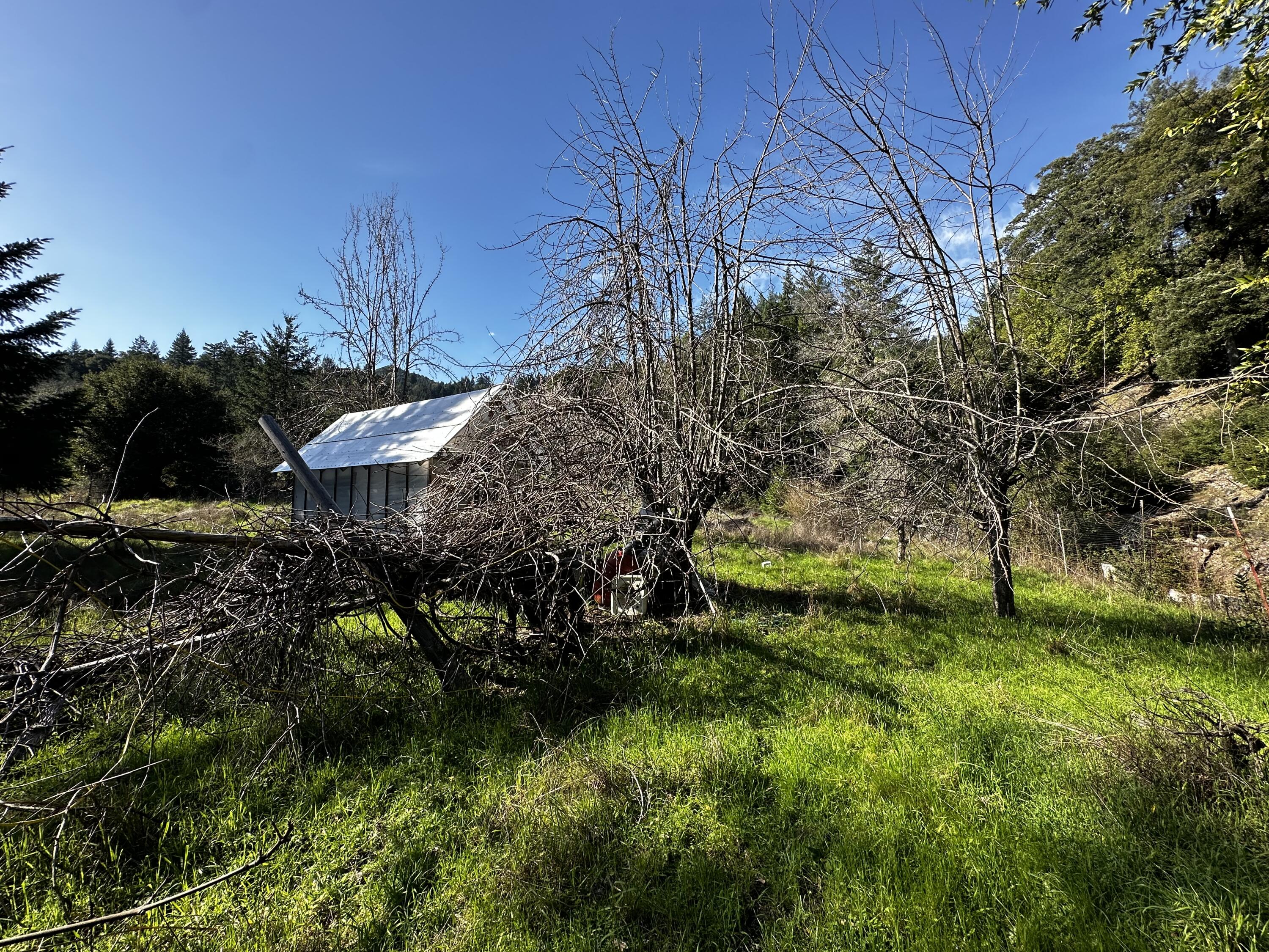 4300 Thomas Road Miranda, CA 95553 - Photo 43 of 59 IMG_9760