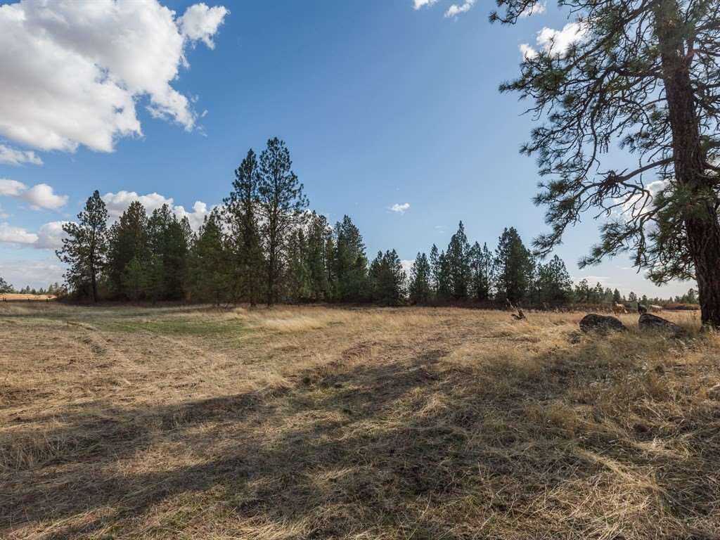 15002 South Stentz Road Spangle, WA 99031 - Photo 20 of 20