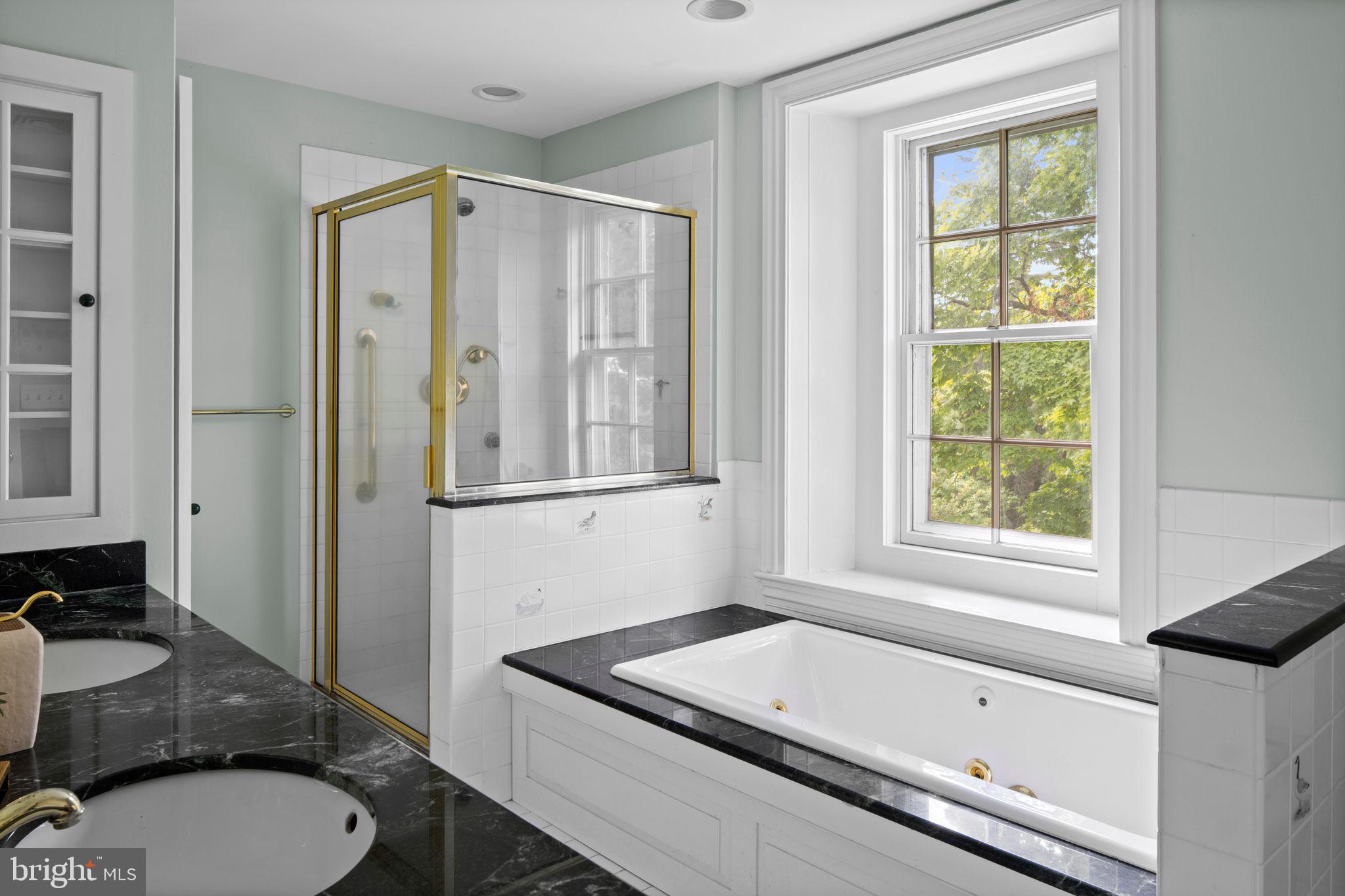 6764 Paxson Road New Hope, PA 18938 - Photo 41 of 116 Primary Bathroom
