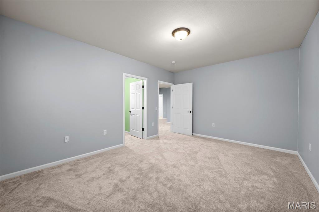 4243 Bushy Prairie Road Waterloo, IL 62298 - Photo 47 of 99