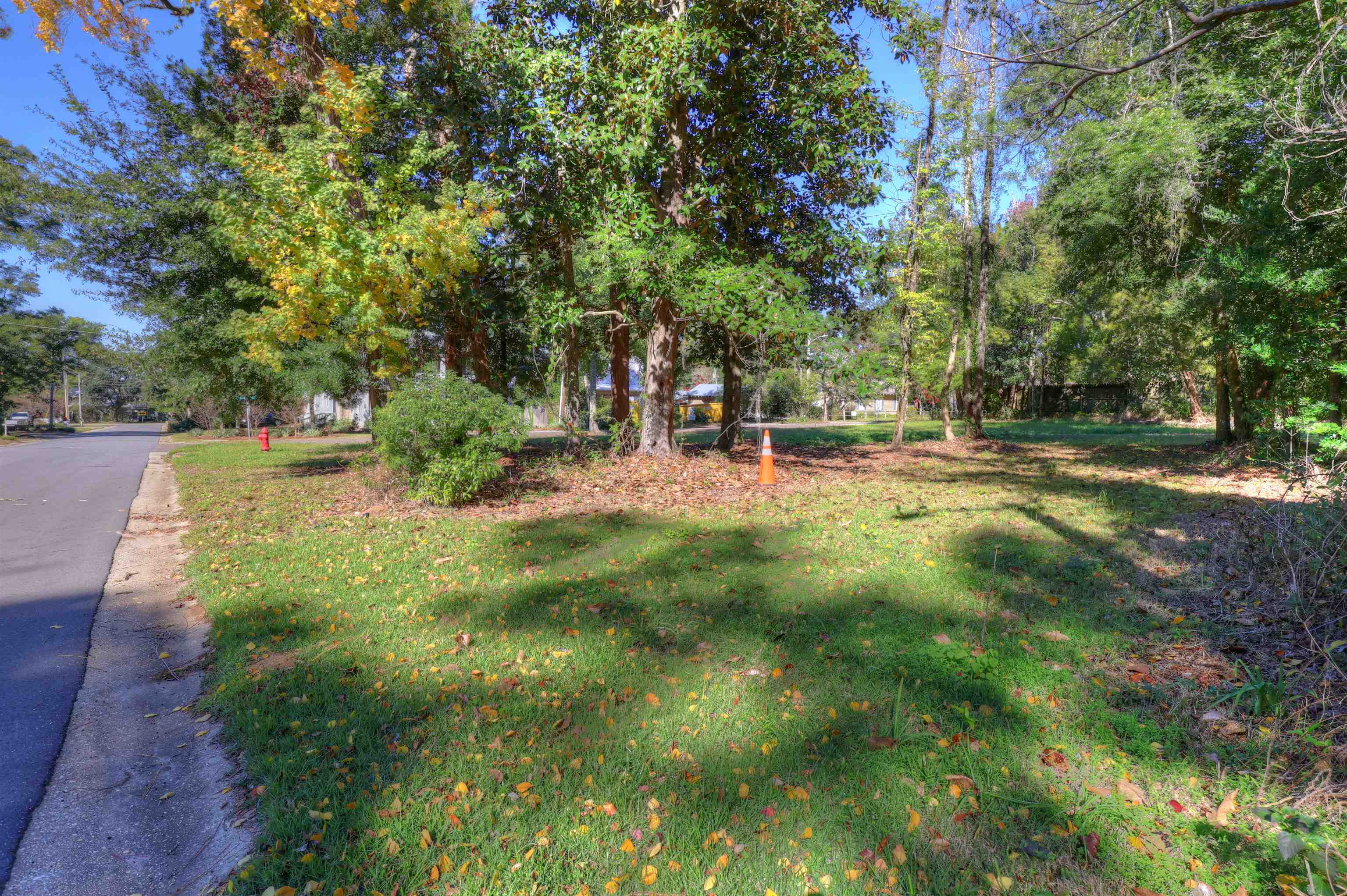 255 George Street Fairhope, AL 36532 - Photo 2 of 4