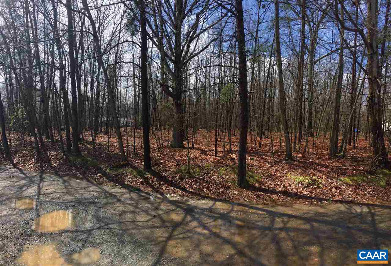Lot 7 Cabin Road Mineral, VA 23117 - Photo 3 of 3