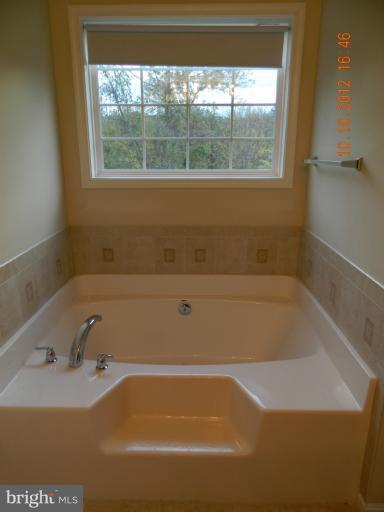 527 Reunion Corner Road Gerrardstown, WV 25420 - Photo 19 of 29 Bath (Master)