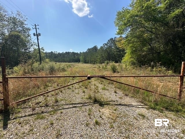 0 I-65 Service Road Satsuma, AL 36572 - Photo 3 of 27 View of gate featuring fence