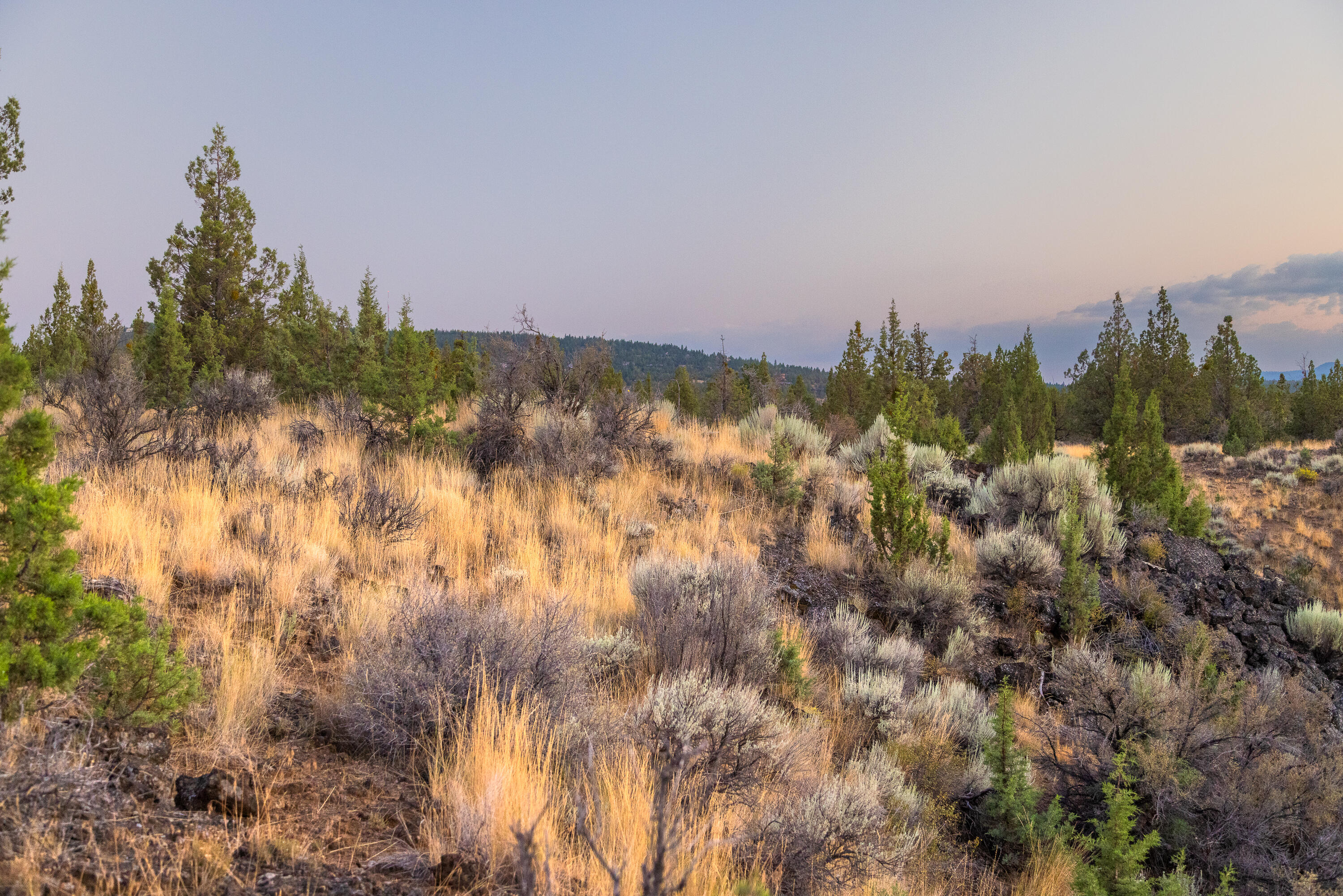20005 Pacific Heights Rd Bend Bend, OR 97703 - Photo 11 of 19 18