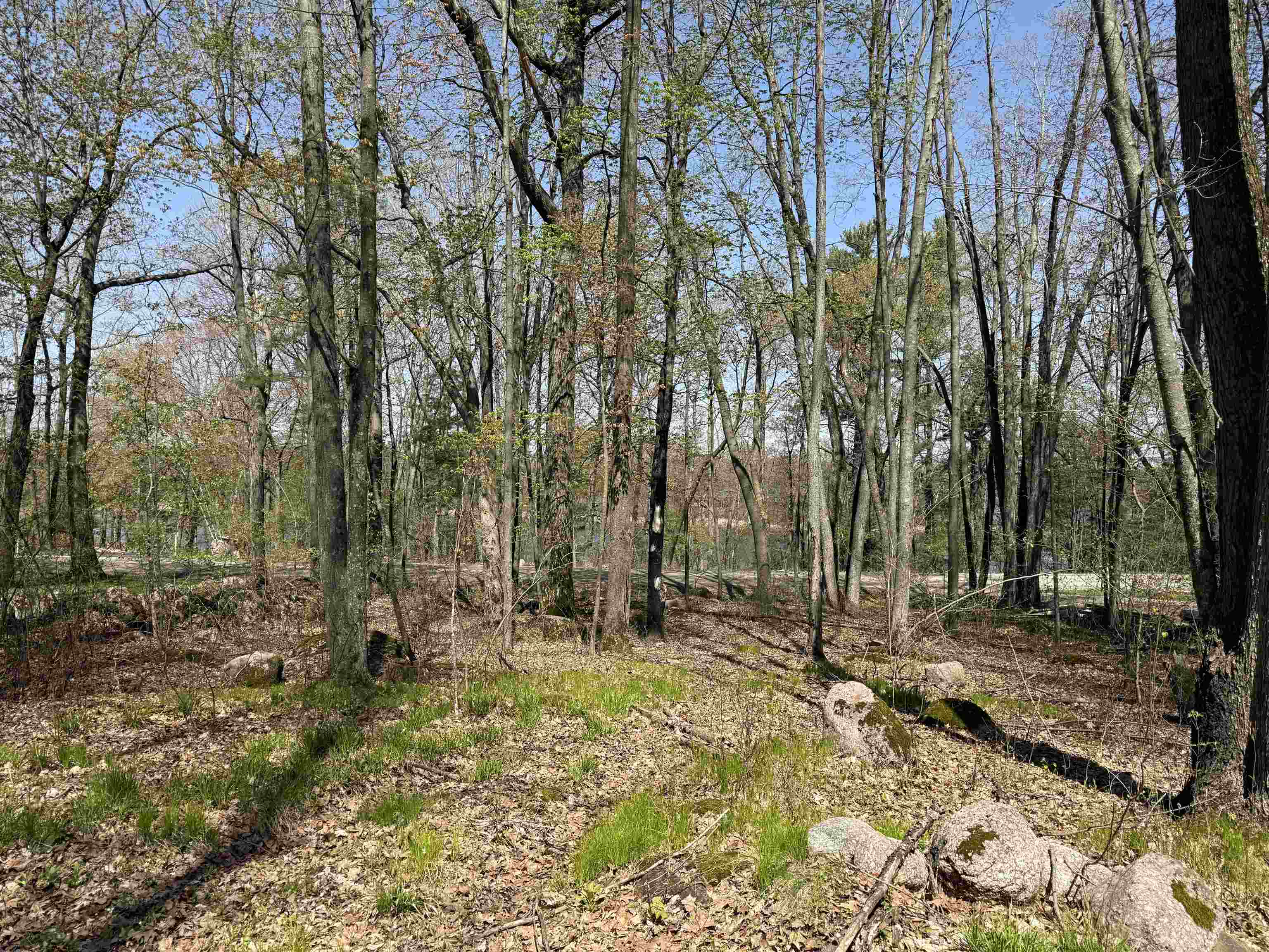 Lot 1 County Rd G Iola, WI 54945 - Photo 3 of 9