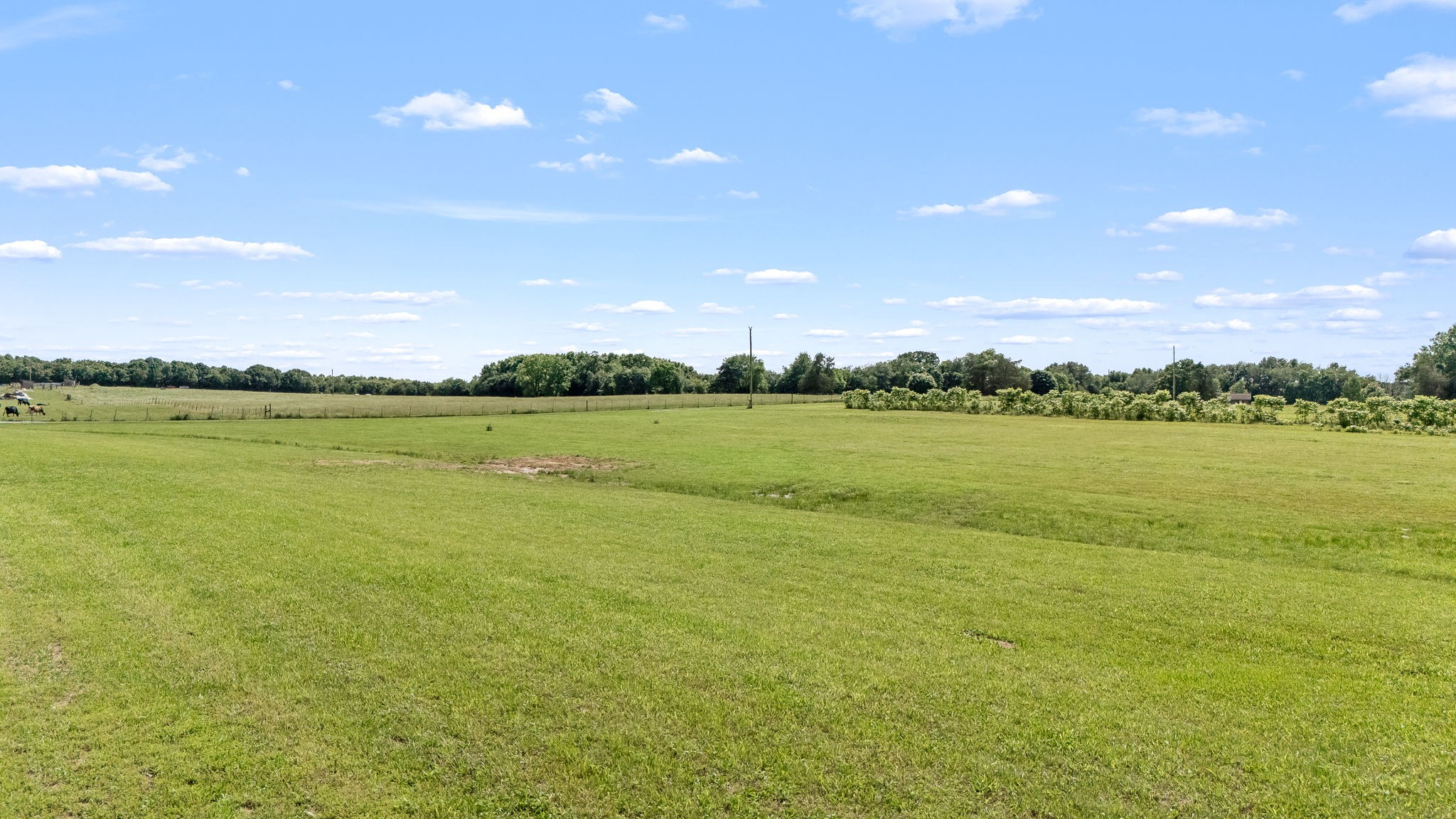 240 Firefly Lane Morrison, TN 37357 - Photo 51 of 74