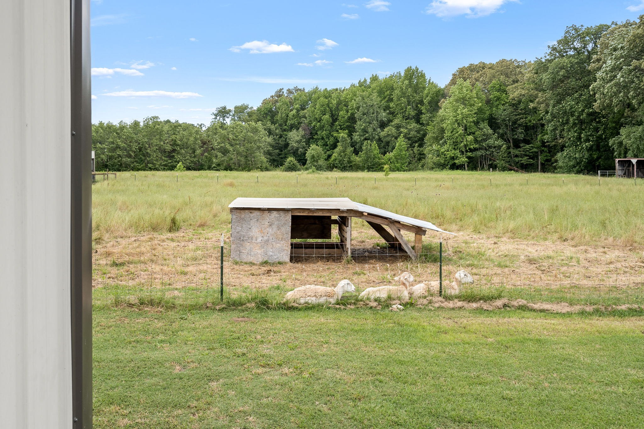 240 Firefly Lane Morrison, TN 37357 - Photo 66 of 74