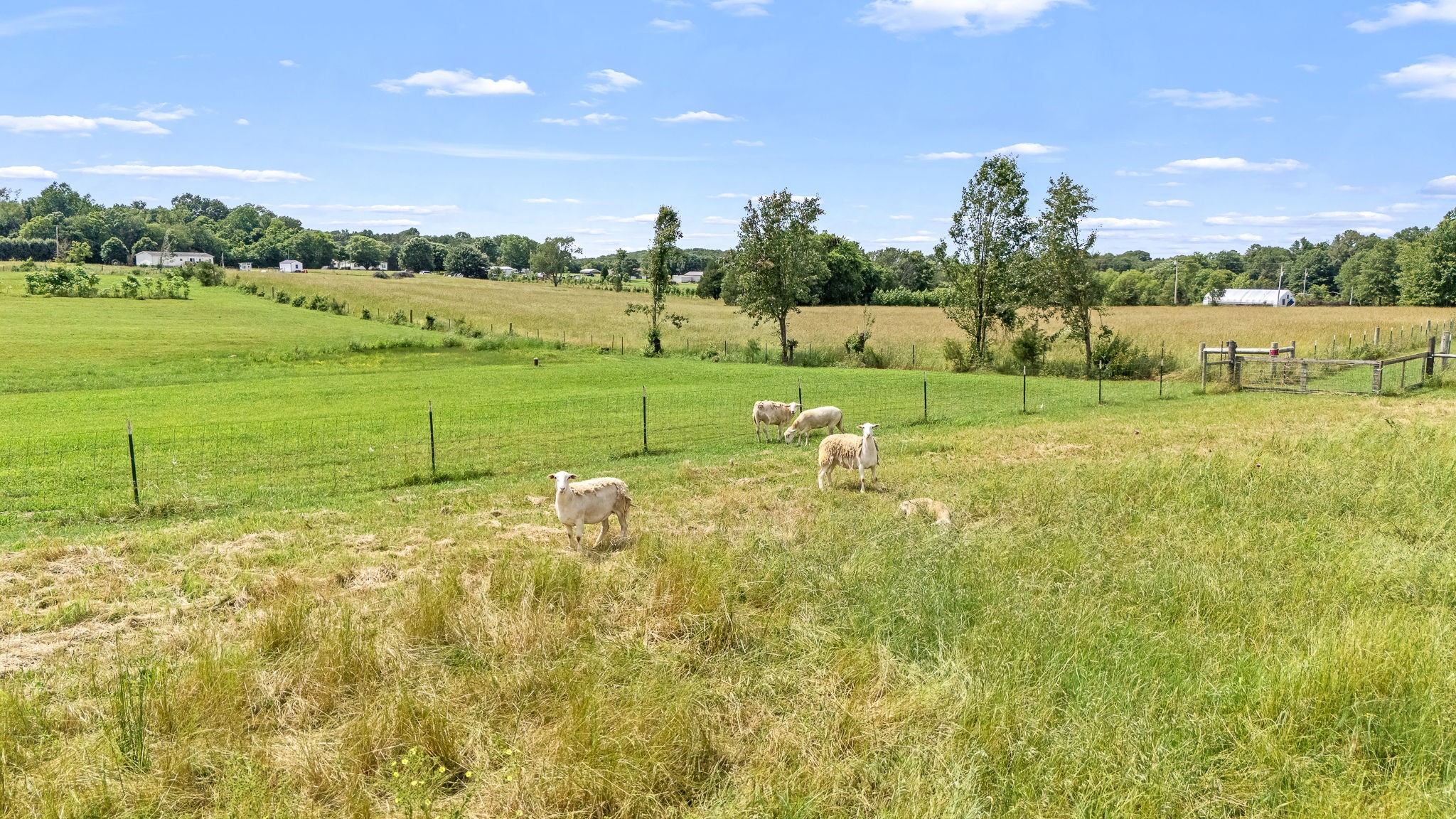 240 Firefly Lane Morrison, TN 37357 - Photo 68 of 74